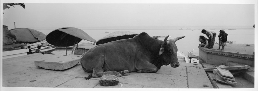  : Varanasi / Kashi City of light  : Jay Colton Photography