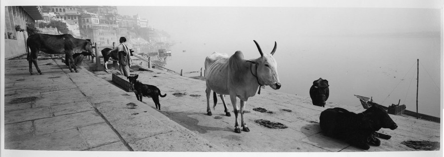  : Varanasi / Kashi City of light  : Jay Colton Photography